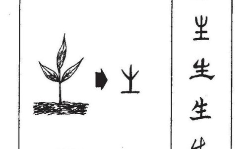 葫芦瓢的功效与作用禁忌-葫芦瓢的功效与作用网 - 葫芦瓢的功效作用与主治,葫芦瓢的功效作用与副作用